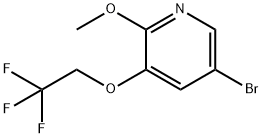 5-브로모-2-메톡시-3-(2,2,2-트리플루오로에톡시)피리딘 구조식 이미지
