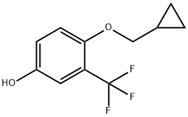 1243463-05-9 4-(Cyclopropylmethoxy)-3-(trifluoromethyl)phenol