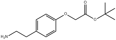 TERT-BUTYL [4-(2-AMINO-ETHYL)-PHENOXY]-ACETATE Structure