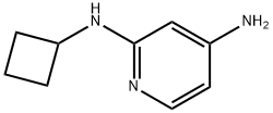 N2-cyclobutylpyridine-2,4-diamine Structure