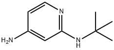 N2-tert-부틸피리딘-2,4-디아민 구조식 이미지