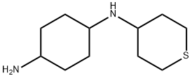 1,4-Cyclohexanediamine, N1-(tetrahydro-2H-thiopyran-4-yl)- Structure