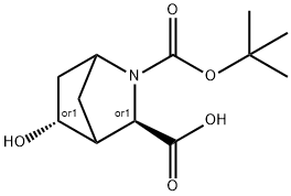 (1S,3S,4S,5S)-rel-2-Boc-5-hydroxy-2-azabicyclo[2.2.1]heptane-3-carboxylic acid 구조식 이미지