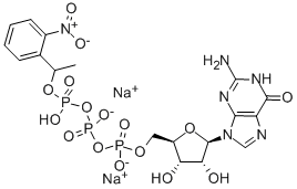 'CAGED GTP Structure