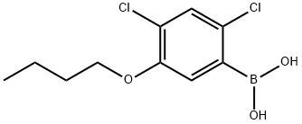 5-부톡시-2,4-디클로로페닐보론산 구조식 이미지