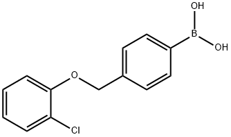 4-(2-chlorophenoxyMethyl)phenylboronic acid Structure