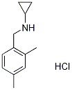 N-Cyclopropyl-2,4-dimethylbenzylamine hydrochloride, 4-(Cyclopropylamino)-m-xylene hydrochloride Structure