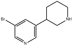 3-브로모-5-(피페리딘-3-일)피리딘 구조식 이미지