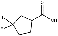 3,3-Difluorocyclopentaecarboxylic acid Structure