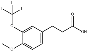 3-[4-Methoxy-3-(trifluoromethoxy)phenyl]propionicacid Structure