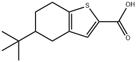 5-TERT-BUTYL-4,5,6,7-TETRAHYDRO-1-BENZOTHIOPHENE-2-CARBOXYLIC ACID Structure