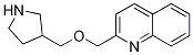 2-[(pyrrolidin-3-ylMethoxy)Methyl]quinoline Structure