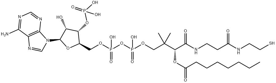 Octanoyl coenzyme A 구조식 이미지