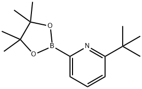 6-(TERT-부틸)피리딘-2-보론산피나콜에스테르 구조식 이미지
