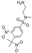 N-(2-aminoethyl)-N-methyl-3-nitro-4-(1-methyl-1-nitroethyl)benzenesulfonamide Structure