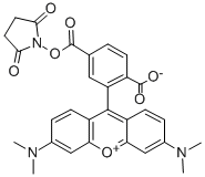 6-CARBOXYTETRAMETHYLRHODAMINE N-HYDROXYSUCCINIMIDE ESTER 구조식 이미지