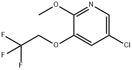 5-Chloro-2-methoxy-3-(2,2,2-trifluoroethoxy)pyridine Structure