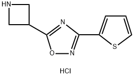 5-Azetidin-3-yl-3-(2-thienyl)-1,2,4-oxadiazole hydrochloride 구조식 이미지