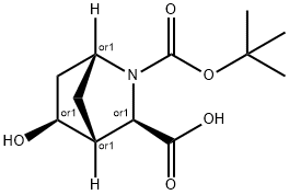 (1S,3S,4S,5R)-Rel-2-Boc-5-hydroxy-2-azabicyclo-[2.2.1]heptane-3-carboxylic acid 구조식 이미지