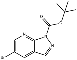 1-Boc-5-broMo-1H-피라졸로[3,4-b]피리딘 구조식 이미지