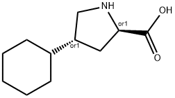 TRANS-4-CYCLOHEXYL-L-PROLINE 구조식 이미지