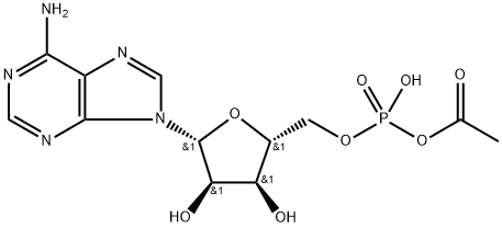 acetyl adenylate Structure