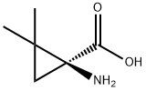 시클로프로판카르복실산,1-아미노-2,2-디메틸-,(1S)-(9CI) 구조식 이미지