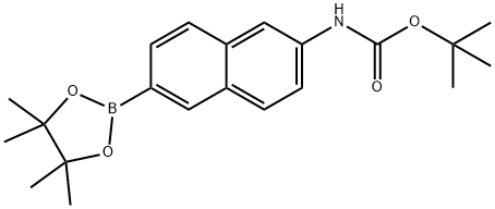 1312611-41-8 tert-butyl 6-(4,4,5,5-tetraMethyl-1,3,2-dioxaborolan-2-yl)naphthalen-2-ylcarbaMate