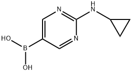 2-(CyclopropylaMino)pyriMidine-5-boronic acid Structure