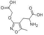 AMOA NON-NMDA GLUTAMATE RE Structure