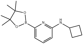 6-(CYCLOBUTYLAMINO)피리딘-2-붕소산피나콜에스테르 구조식 이미지