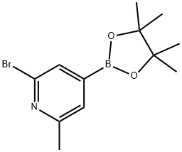 2-Bromo-6-methyl-4-(4,4,5,5-tetramethyl-1,3,2-dioxaborolan-2-yl)pyridine Structure