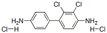 Dichloro-(1,1'-biphenyl)-4,4'-diamine dihydrochloride Structure