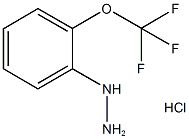 133115-76-1 1-(2-(trifluoromethoxy)phenyl)hydrazine(HCl)