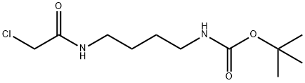 tert-Butyl N-[4-(2-chloroacetamido)butyl]carbamate 구조식 이미지