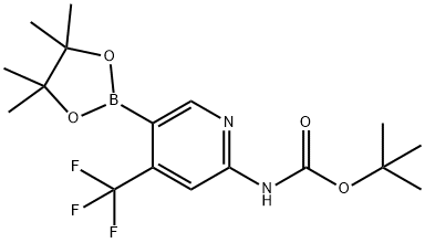 tert-부틸5-(4,4,5,5-테트라메틸-1,3,2-디옥사보롤란-2-일)-4-(트리플루오로메틸)피리딘-2-일카르바메이트 구조식 이미지