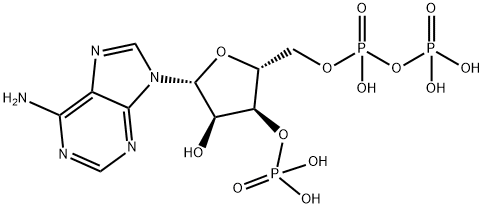 adenosine 3'-phosphate 5'-diphosphate Structure