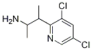 3-(3,5-DICHLOROPYRIDIN-2-YL)BUTAN-2-AMINE Structure