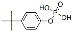 p-tert-butylphenyl dihydrogen phosphate Structure
