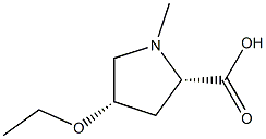 Proline, 4-ethoxy-1-methyl-, L-cis- (8CI) Structure