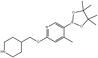 4-Methyl-2-(piperidin-4-ylMethoxy)-5-(4,4,5,5-tetraMethyl-1,3,2-dioxaborolan-2-yl)pyridine 구조식 이미지