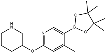 4-Methyl-2-(piperidin-3-yloxy)-5-(4,4,5,5-tetraMethyl-1,3,2-dioxaborolan-2-yl)pyridine 구조식 이미지