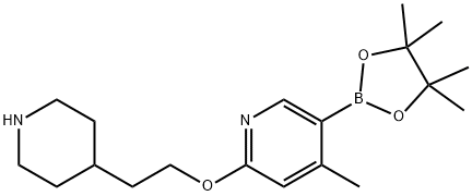 4-Methyl-2-(2-(piperidin-4-yl)ethoxy)-5-(4,4,5,5-tetraMethyl-1,3,2-dioxaborolan-2-yl)pyridine 구조식 이미지