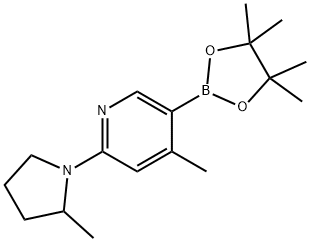 4-Methyl-2-(2-Methylpyrrolidin-1-yl)-5-(4,4,5,5-tetraMethyl-1,3,2-dioxaborolan-2-yl)pyridine 구조식 이미지