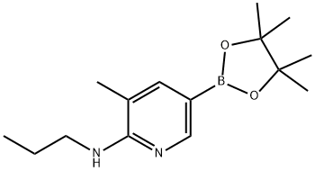 3-Methyl-N-propyl-5-(4,4,5,5-tetraMethyl-1,3,2-dioxaborolan-2-yl)pyridin-2-aMine 구조식 이미지