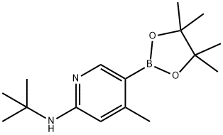 N-tert-butyl-4-Methyl-5-(4,4,5,5-tetraMethyl-1,3,2-dioxaborolan-2-yl)pyridin-2-aMine 구조식 이미지
