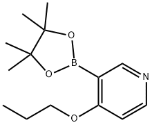 4-propoxy-3-(4,4,5,5-tetraMethyl-1,3,2-dioxaborolan-2-yl)pyridine Structure