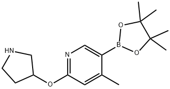 4-Methyl-2-(pyrrolidin-3-yloxy)-5-(4,4,5,5-tetraMethyl-1,3,2-dioxaborolan-2-yl)pyridine 구조식 이미지