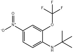 N-tert-Butyl-4-nitro-2-(trifluoromethoxy)aniline Structure