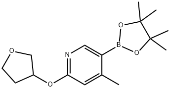 4-Methyl-2-((tetrahydrofuran-3-yl)oxy)-5-(4,4,5,5-tetraMethyl-1,3,2-dioxaborolan-2-yl)pyridine 구조식 이미지